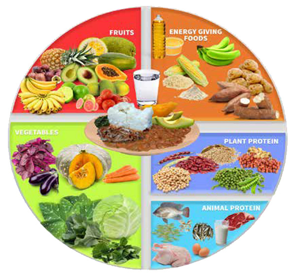 The-Presidential-Initiative-on-Healthy-Eating-&-Healthy-Lifestyle